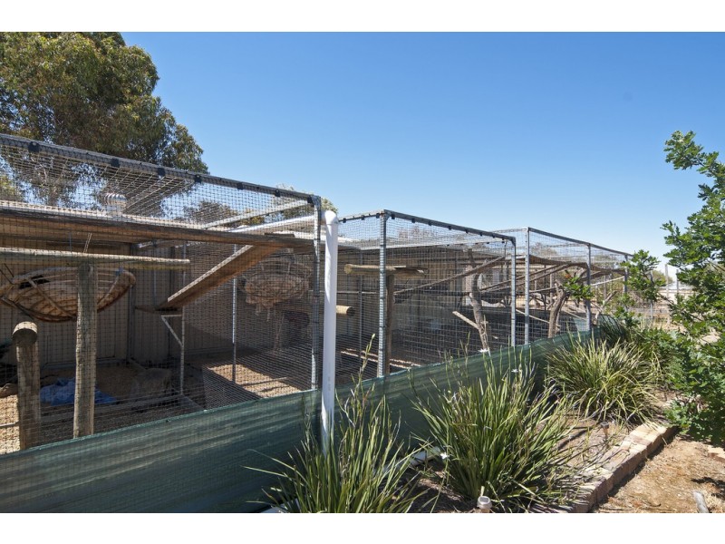 86 Frost Road, Lower Light SA 5501