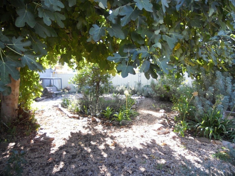 22 Paxton St, Willaston SA 5118