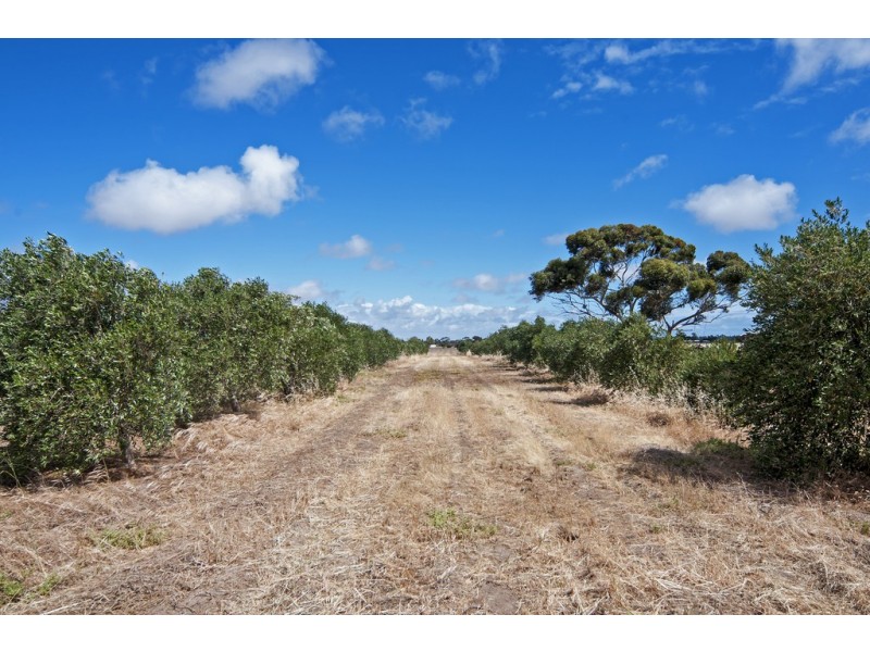Lot 11,12,13 Coats Road, Two Wells SA 5501