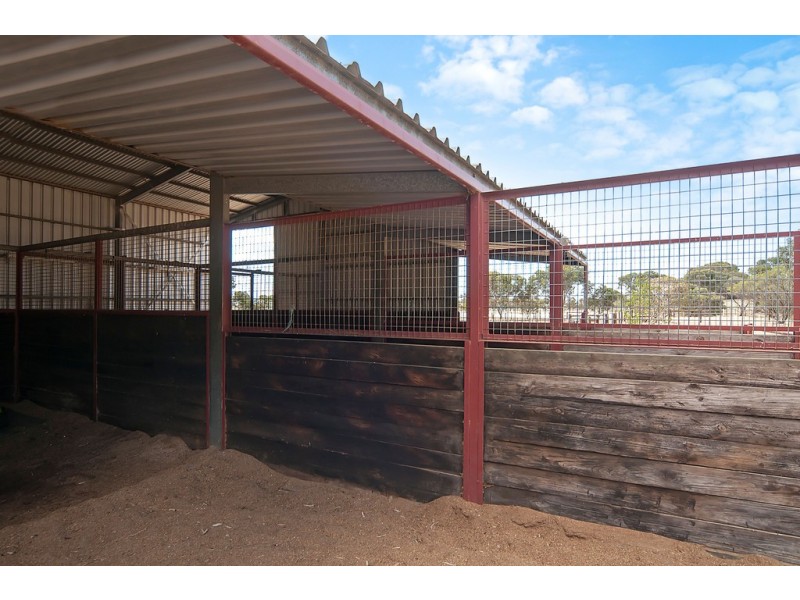 Lot 192 Boundary Road FISCHER, Reeves Plains SA 5502
