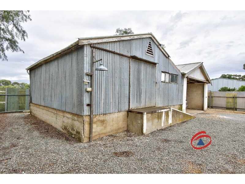 52 Annies Terrace, Wasleys SA 5400