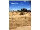 14 Gawler River Road, Lewiston SA 5501