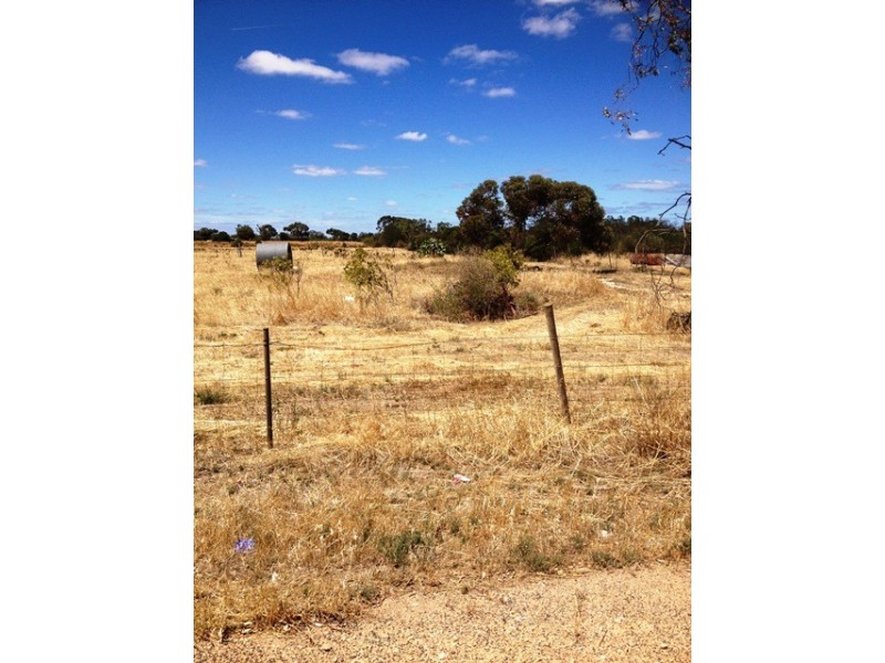 14 Gawler River Road, Lewiston SA 5501