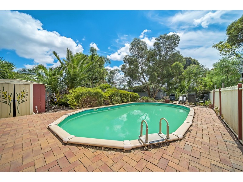 6 Cleland Court, Willaston SA 5118