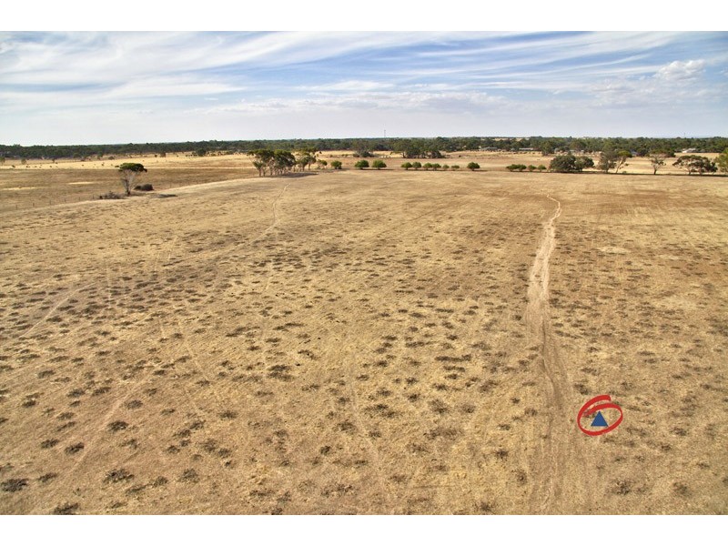 197 Dawkins Road, Lewiston SA 5501