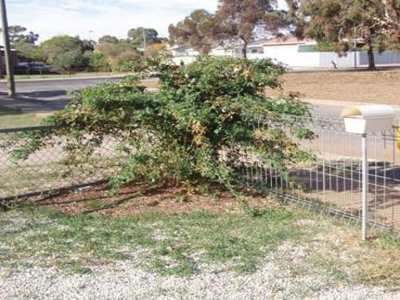 8 and 10 Holcomb Street, Elizabeth East SA 5112