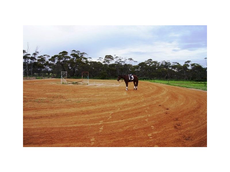 32 Brady Road Barabba via, Mallala SA 5502