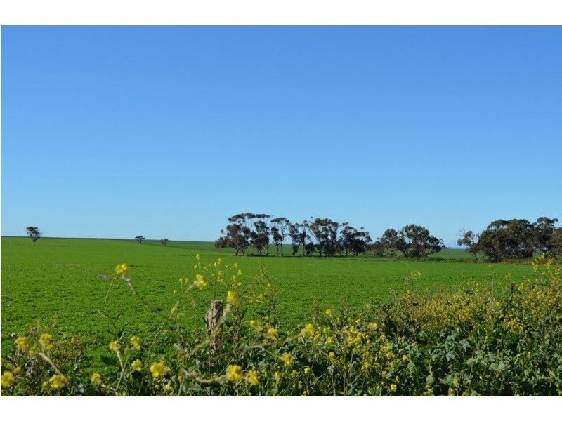 26 Hall Road, Red Banks SA 5502