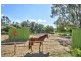 53 Badman Street, Hillier SA 5116