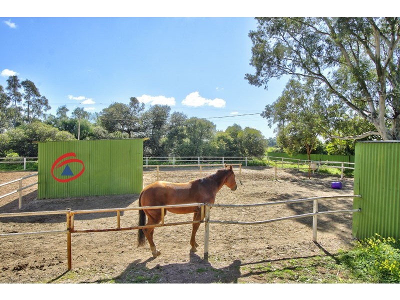 53 Badman Street, Hillier SA 5116