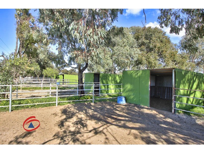 53 Badman Street, Hillier SA 5116