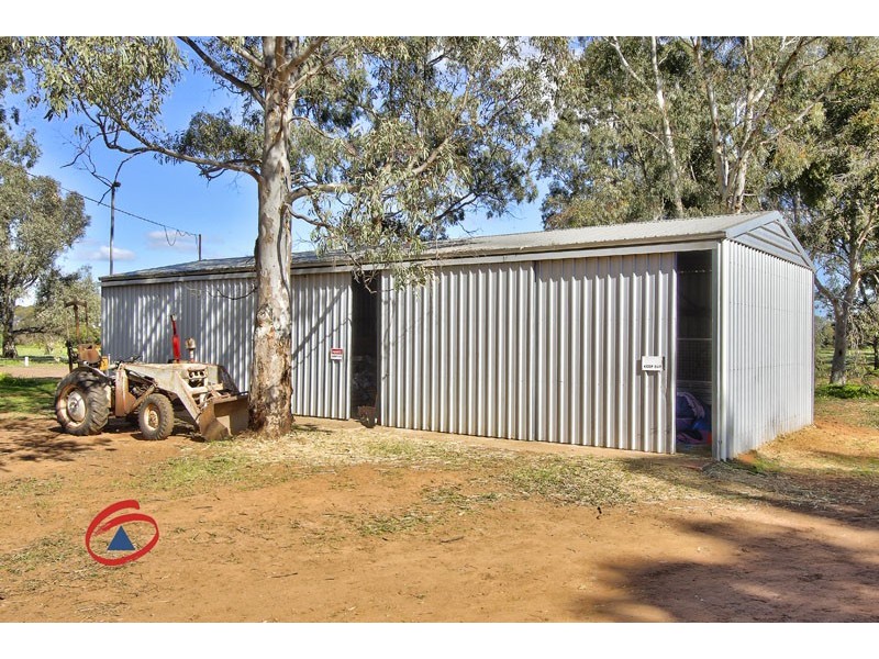 53 Badman Street, Hillier SA 5116