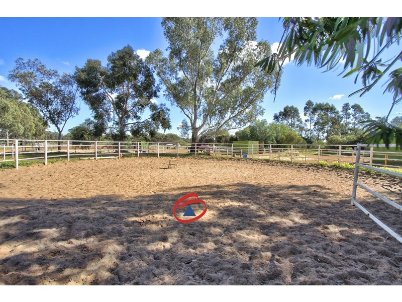 53 Badman Street, Hillier SA 5116