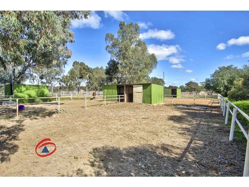 53 Badman Street, Hillier SA 5116