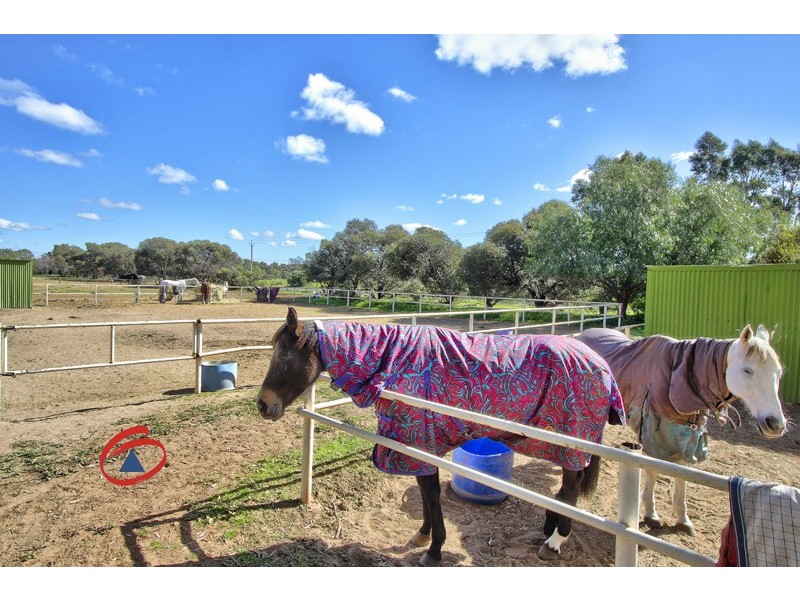 53 Badman Street, Hillier SA 5116