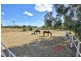 53 Badman Street, Hillier SA 5116