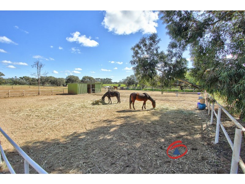 53 Badman Street, Hillier SA 5116