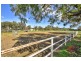 53 Badman Street, Hillier SA 5116
