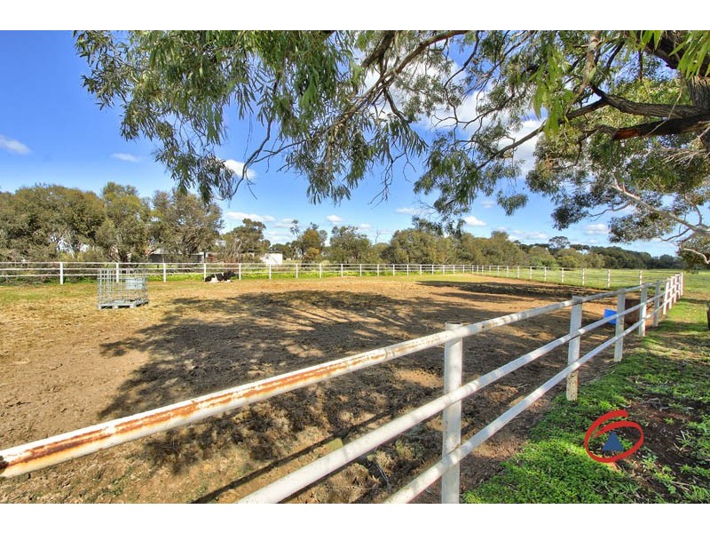 53 Badman Street, Hillier SA 5116