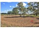 53 Badman Street, Hillier SA 5116