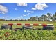 53 Badman Street, Hillier SA 5116