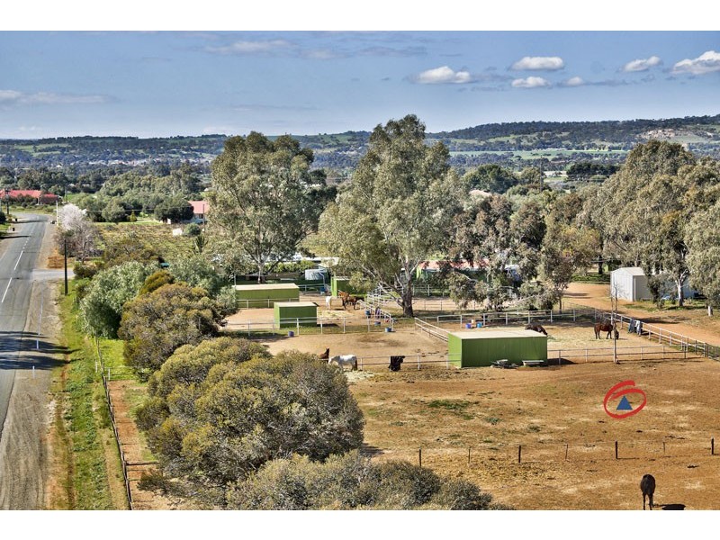53 Badman Street, Hillier SA 5116