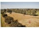 53 Badman Street, Hillier SA 5116