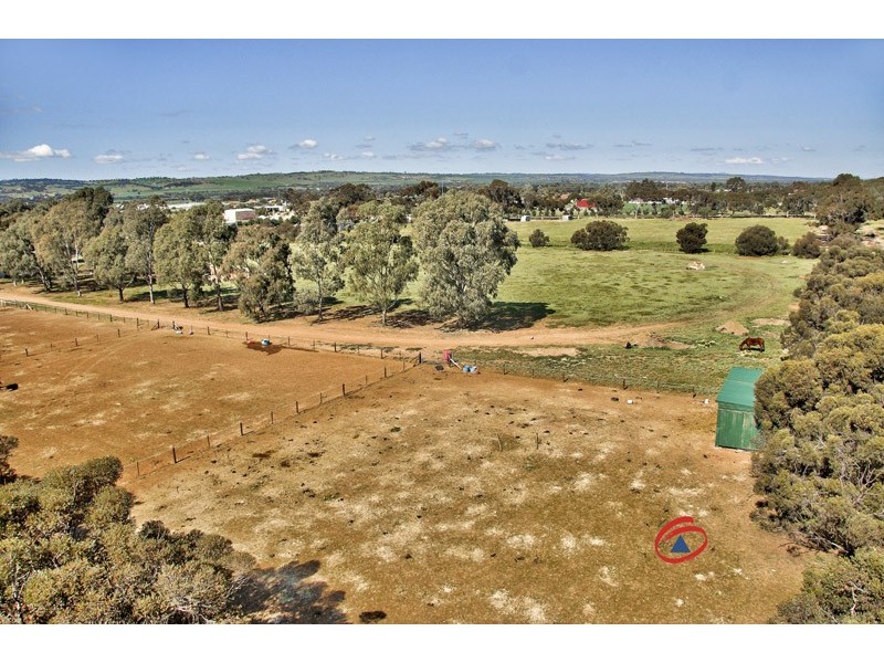 53 Badman Street, Hillier SA 5116