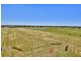 Lot 14 Mallee Court, Two Wells SA 5501
