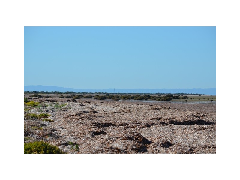 6 Stint Avenue, Thompson Beach SA 5501