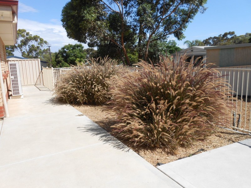 5 Mcgonigal Drive, Willaston SA 5118