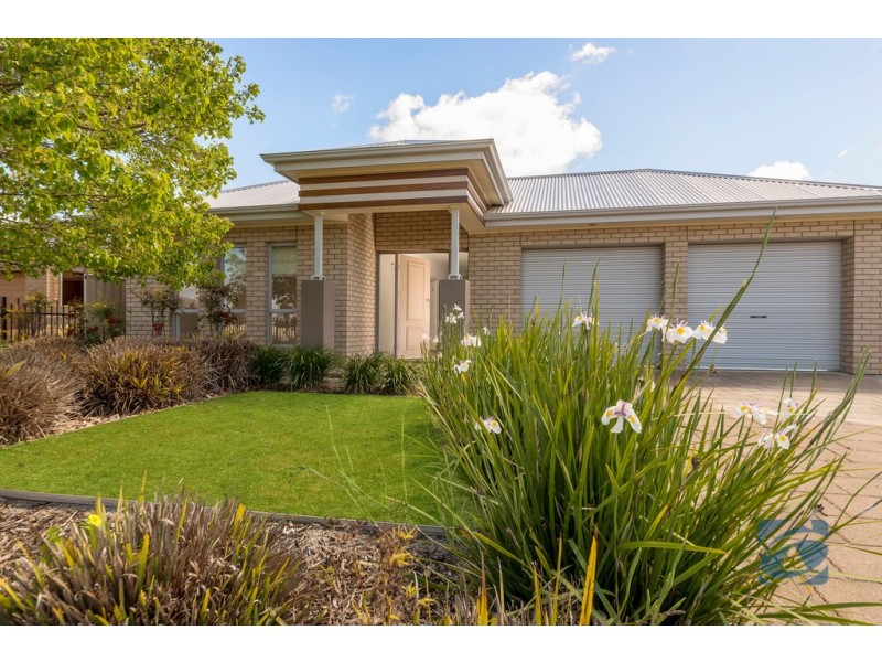 91 Hanson Street, Freeling SA 5372