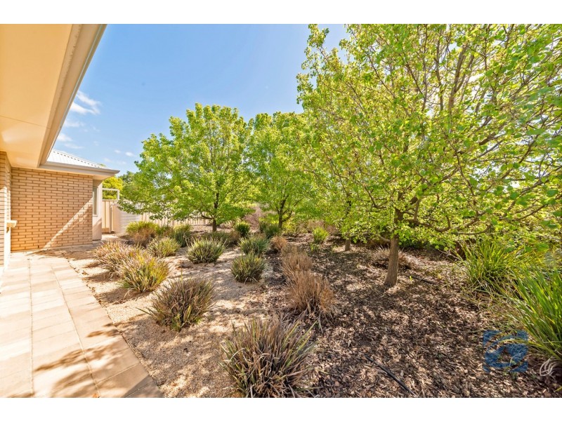 91 Hanson Street, Freeling SA 5372