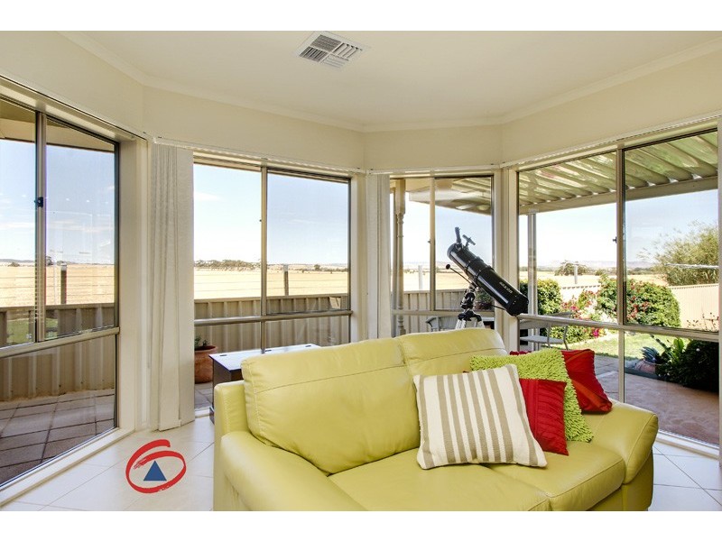 50 Schuster Street, Freeling SA 5372