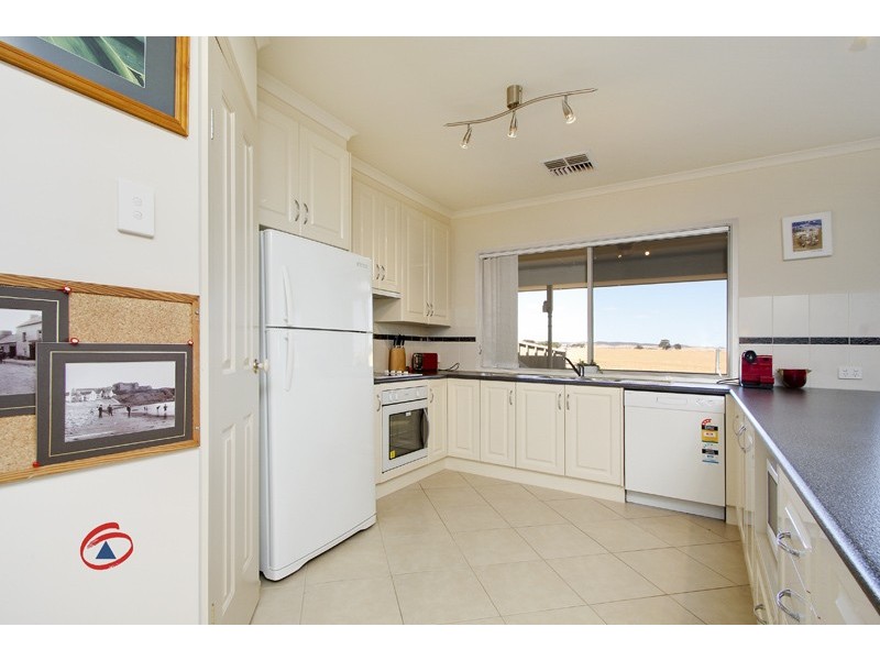 50 Schuster Street, Freeling SA 5372