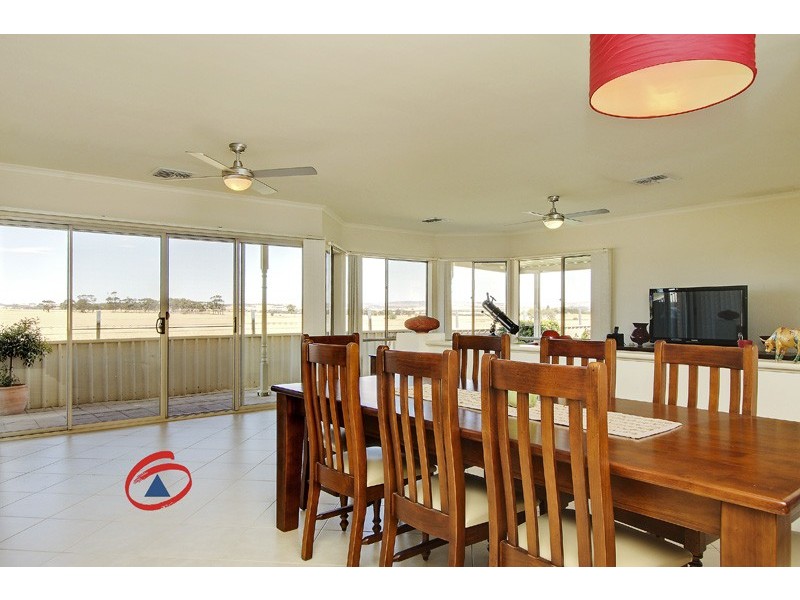 50 Schuster Street, Freeling SA 5372