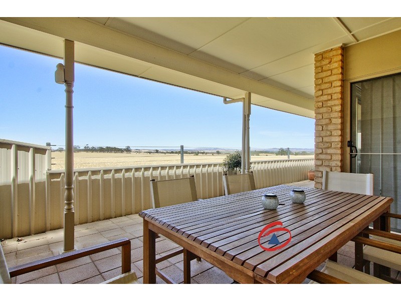 50 Schuster Street, Freeling SA 5372