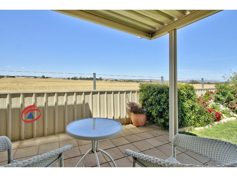 50 Schuster Street, Freeling SA 5372