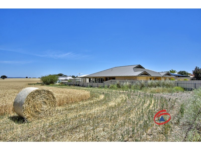 50 Schuster Street, Freeling SA 5372