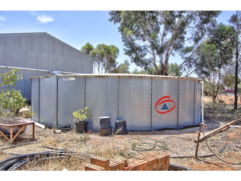 467 Collins Road, Mallala SA 5502