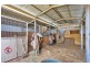 467 Collins Road, Mallala SA 5502