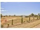 467 Collins Road, Mallala SA 5502