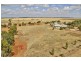 467 Collins Road, Mallala SA 5502