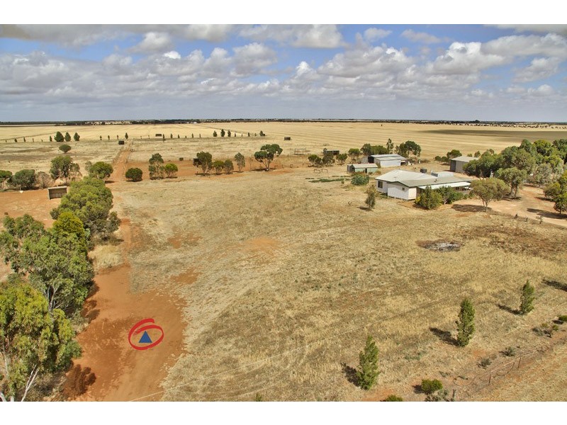 467 Collins Road, Mallala SA 5502