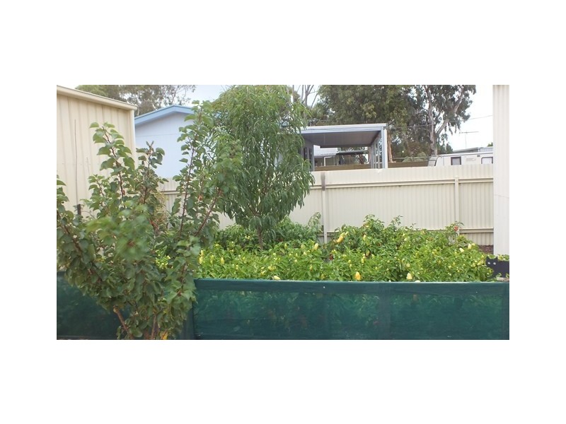 22 Cooper Street, Clinton SA 5570