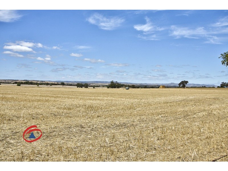 36 Gray Street, Freeling SA 5372