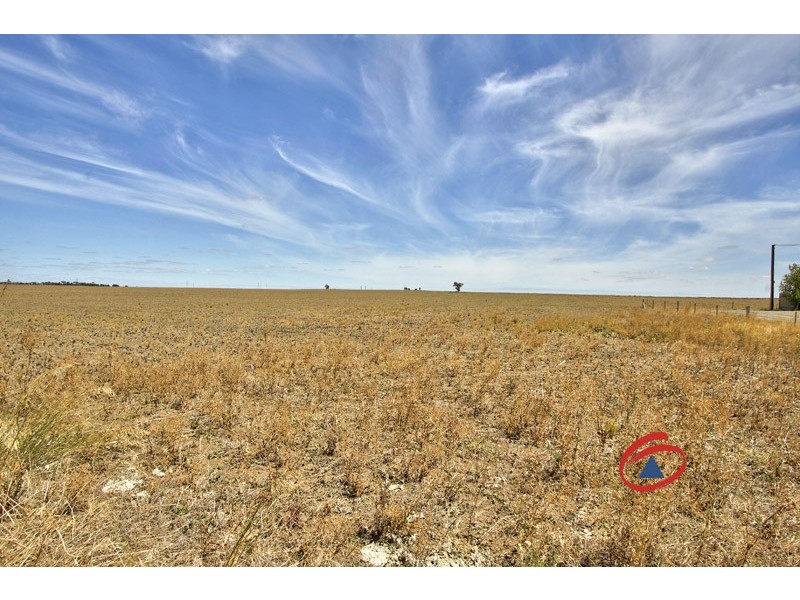 36 Gray Street, Freeling SA 5372