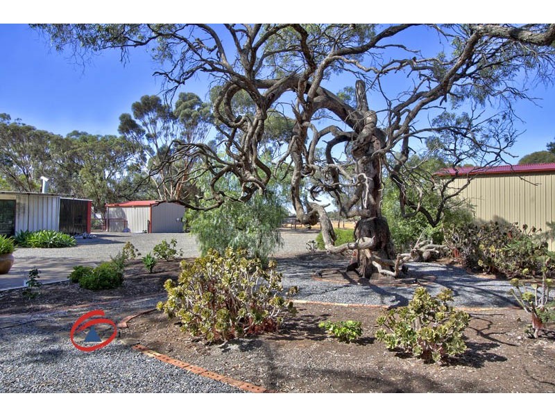 116 Gawler Road, Lewiston SA 5501