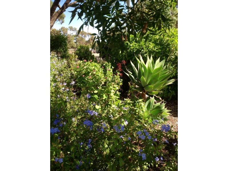 116 Gawler Road, Lewiston SA 5501