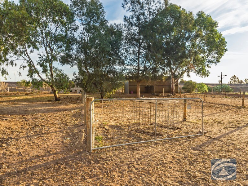 7 Hendo Place, Two Wells SA 5501